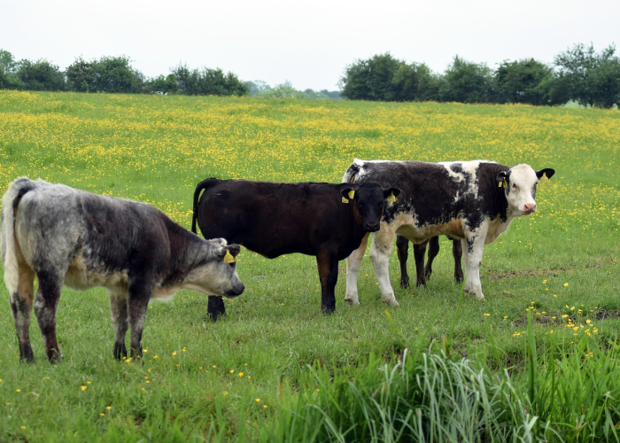 31省区市新增确诊22例新闻（31省区市新增确诊2例—）