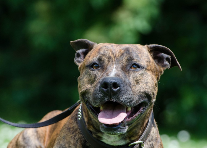 31省份新增71例本土西安63例 → 西安新增了多少例