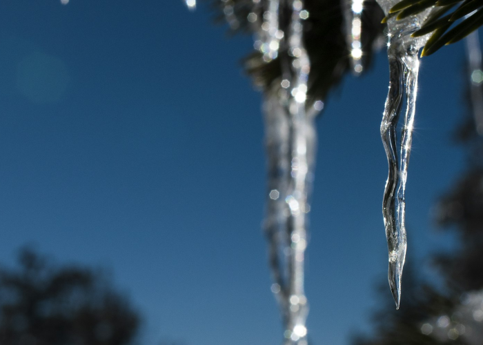 🔹 新增新型冠状病毒感染的肺炎病例·新型冠状病毒新增情况