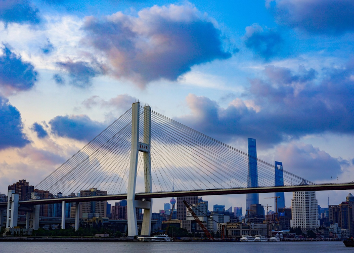 31省新增本土5例：31省新增本土确诊5例